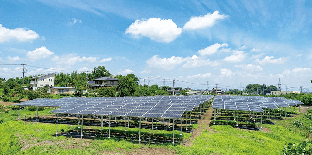מערכות אגרי-וולטאיות – מערכות סולאריות בשימוש החקלאות