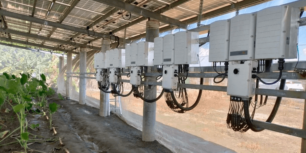 מערכות אגרי-וולטאיות – מערכות סולאריות בשימוש החקלאות